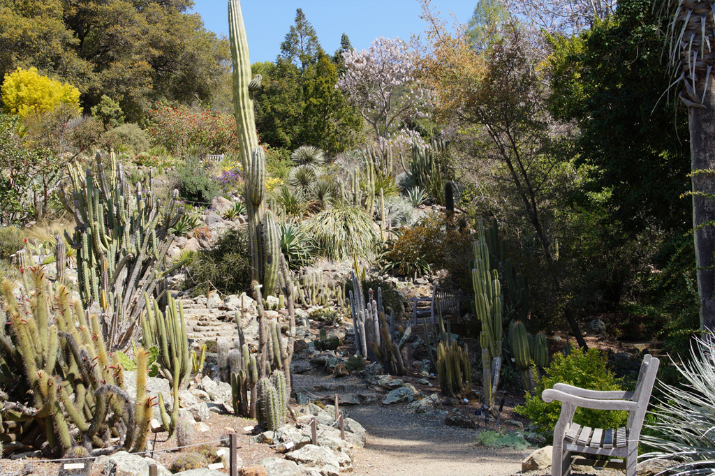 23 03 2014 Uc Botanical Garden Berkeley Outofboxlog